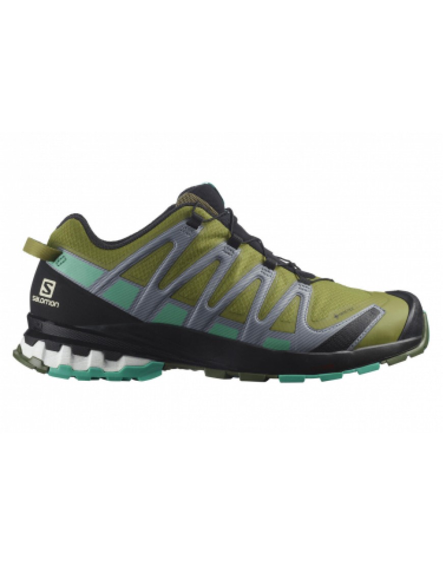 Toutes les Chaussures de Randonnée Running  Chaussures de Trail Salomon Xa Pro 3D V8 Kaki ZS75111