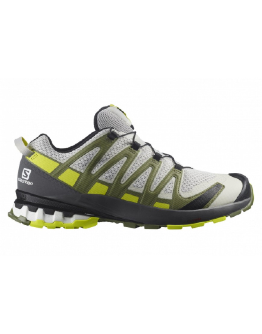 Toutes les Chaussures de Randonnée Running  Chaussures de Trail Salomon Xa Pro 3D V8 Gris / Kaki HQ50938