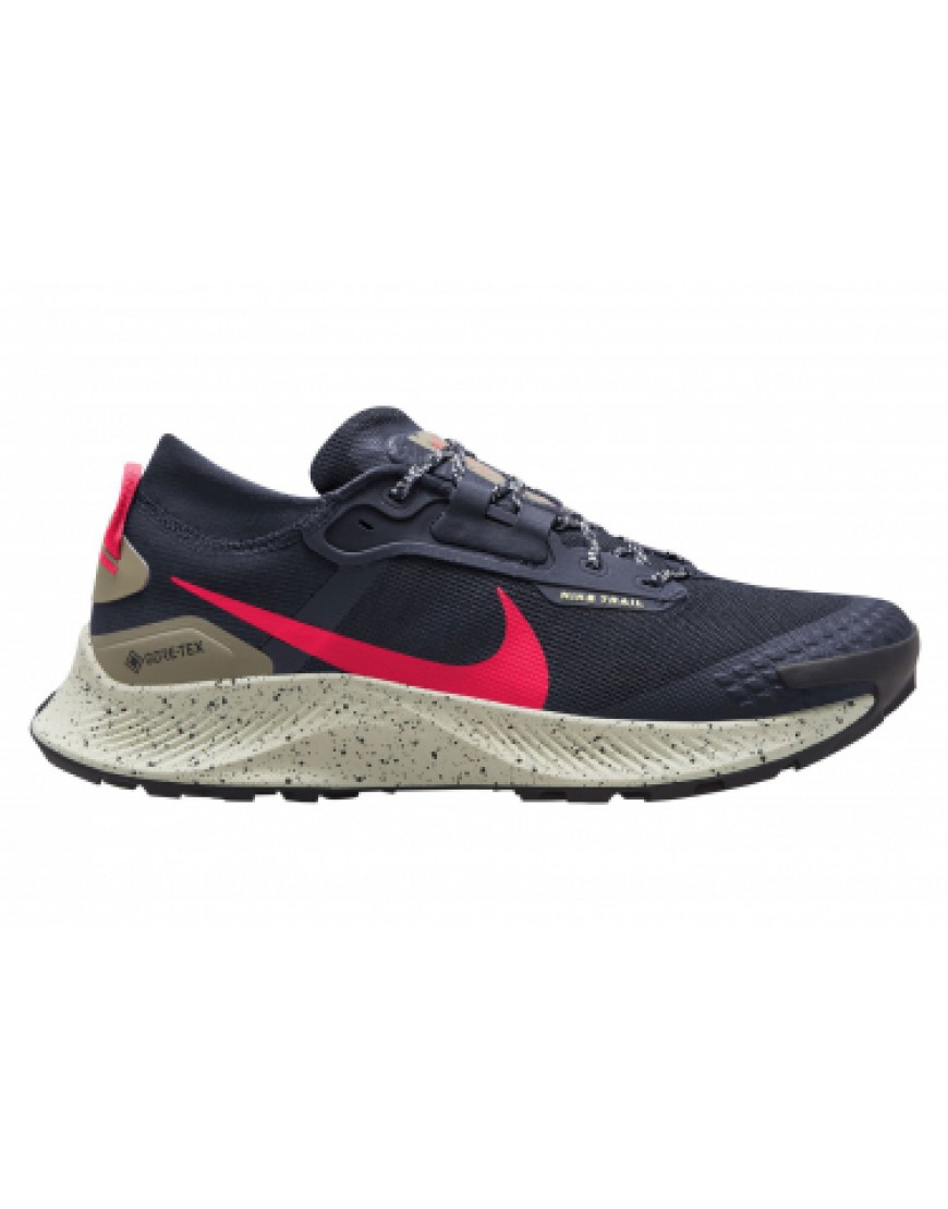 Chaussures pour le Trail Running Running  Chaussures de Trail Nike Pegasus Trail 3 GTX Bleu / Rose DN47127