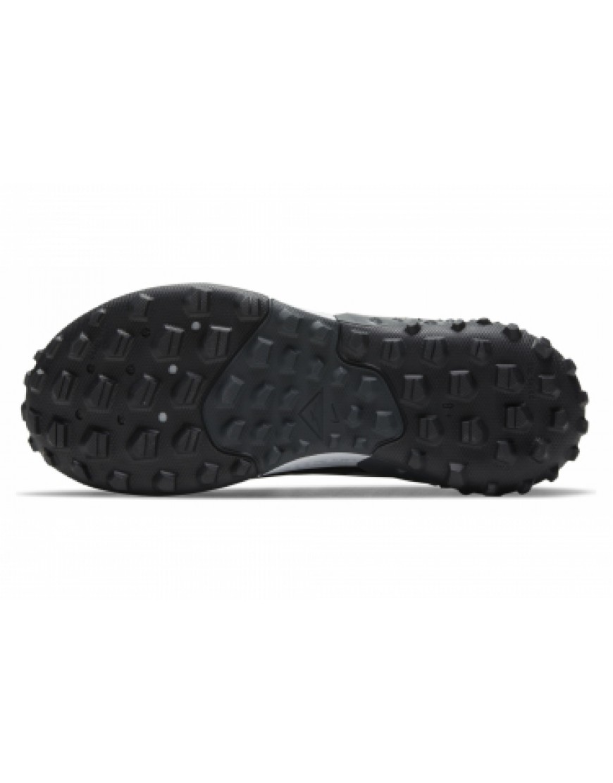 Chaussures pour le Trail Running Running Chaussures de Trail Nike Wildhorse 7 Noir / Gris XO14099
