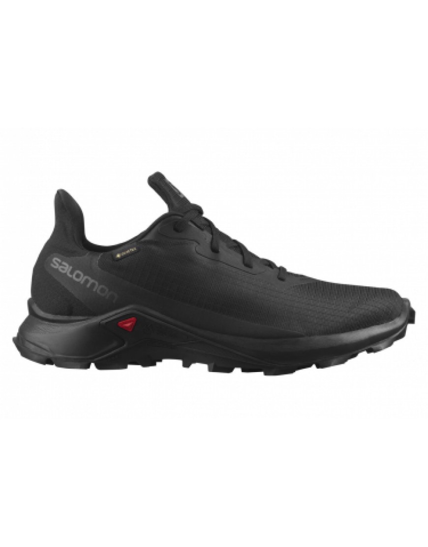 Chaussures pour le Trail Running Running  Chaussures de Trail Salomon Alphacross 3 GTX Noir FL47964