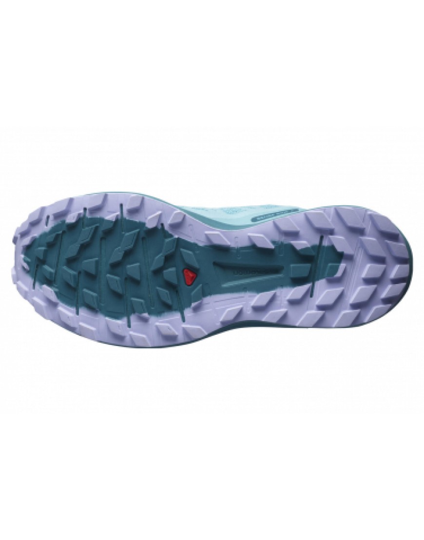 Chaussures pour le Trail Running Running Chaussures de Trail Salomon Sense Ride 4 Bleu NV16274