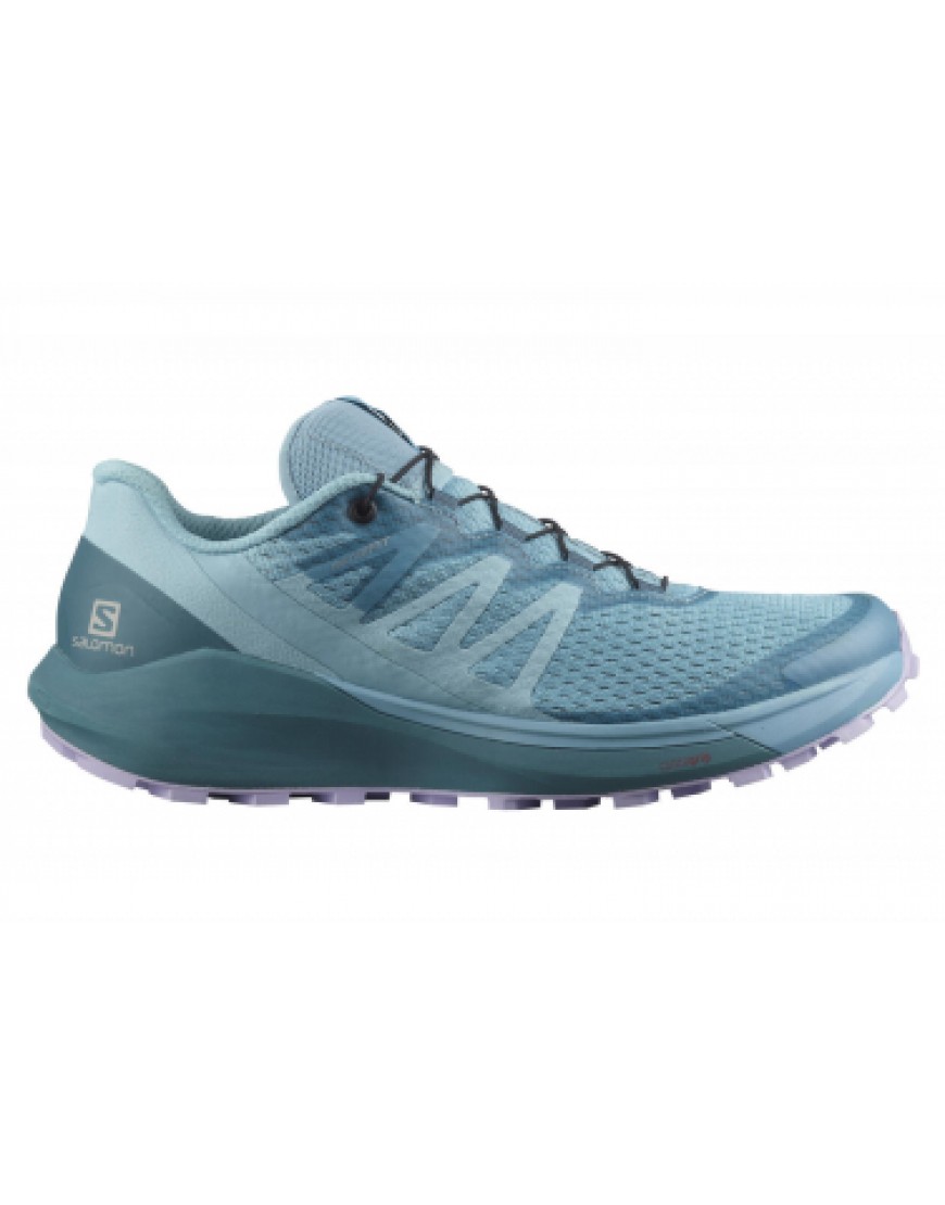 Chaussures pour le Trail Running Running  Chaussures de Trail Salomon Sense Ride 4 Bleu NV16274