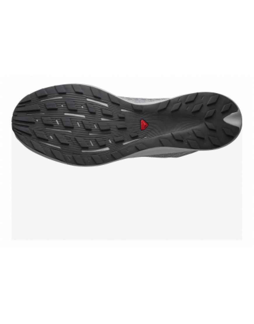 Chaussures pour le Trail Running Running Chaussures de Trail Salomon S/LAB Pulsar Gris / Blanc LQ37199