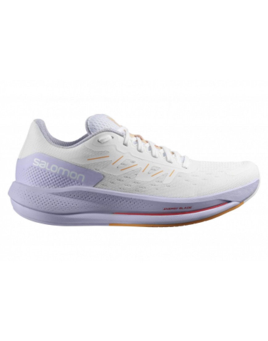 Chaussures pour le Trail Running Running  Chaussures de Trail Salomon Spectur Blanc / Violet ZG05862