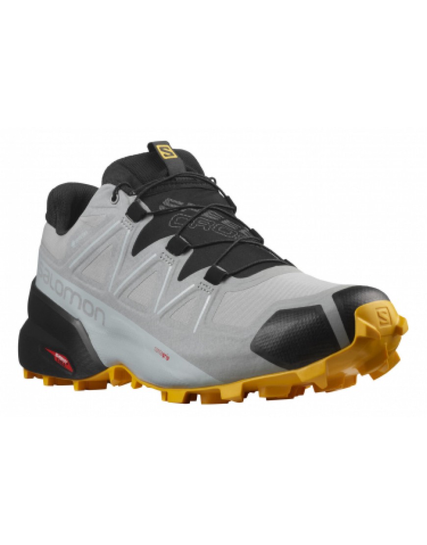 Chaussures pour le Trail Running Running Chaussures de Trail Salomon Speedcross 5 GTX Gris WA01650