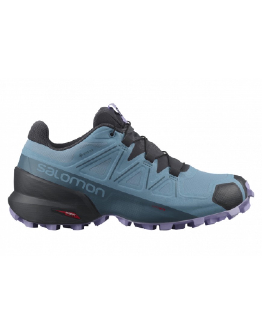 Chaussures pour le Trail Running Running  Chaussures de Trail Salomon Speedcross 5 GTX Bleu VV55828