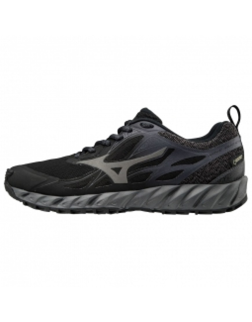 Chaussures pour le Trail Running Running  Chaussures femme Mizuno Wave Ibuki GTX RX69053