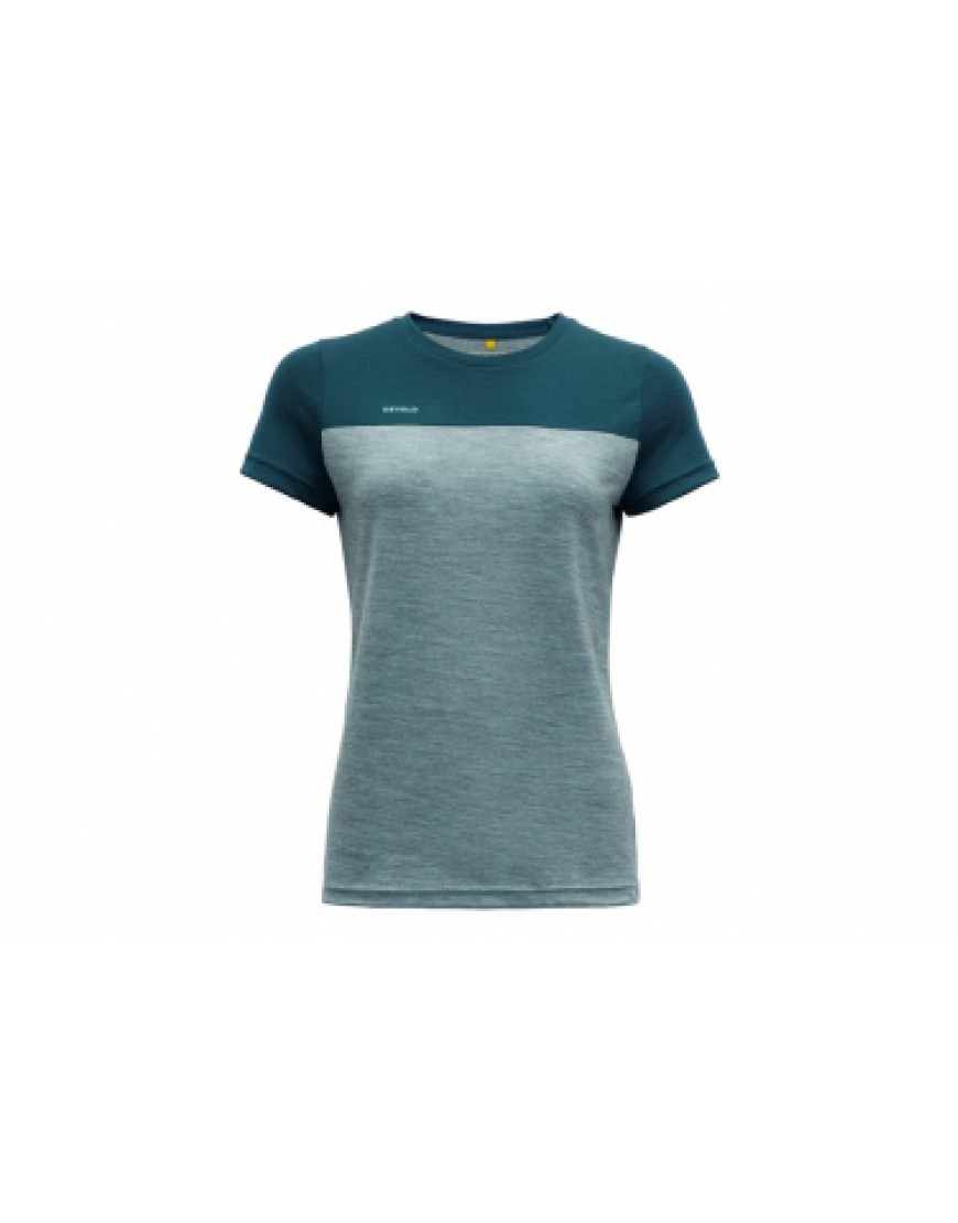 Vêtements Haut Randonnée Running T-Shirt Femme Merinos Devold Norang Bleu AX61675