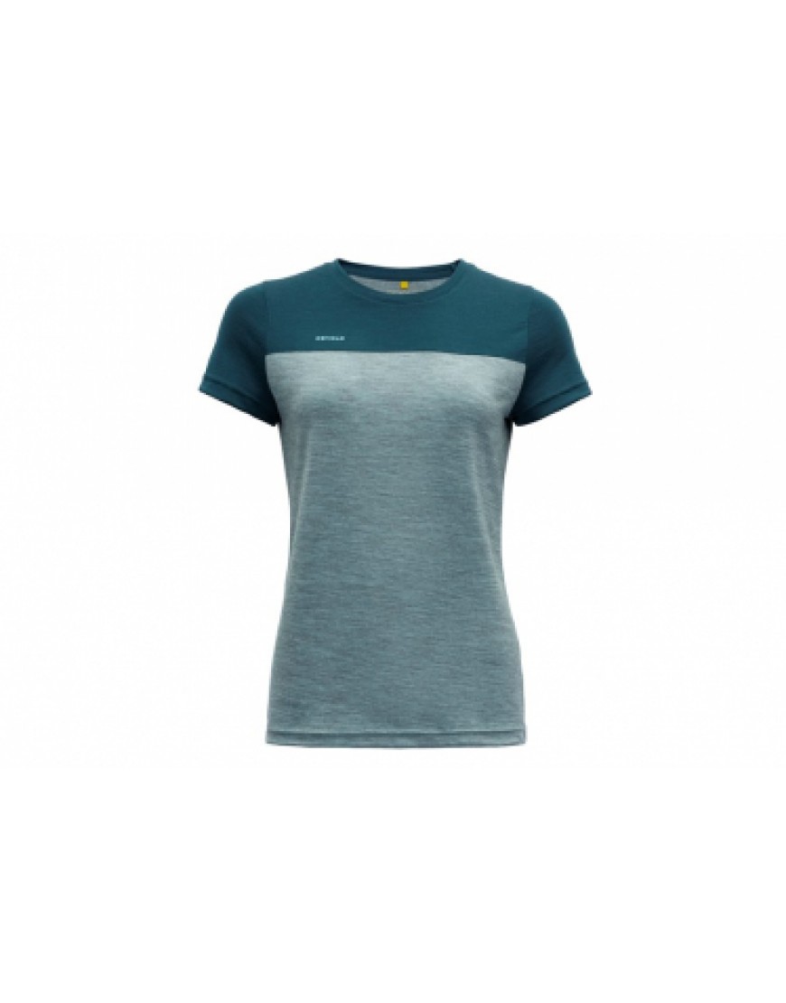 Vêtements Haut Randonnée Running  T-Shirt Femme Merinos Devold Norang Bleu AX61675