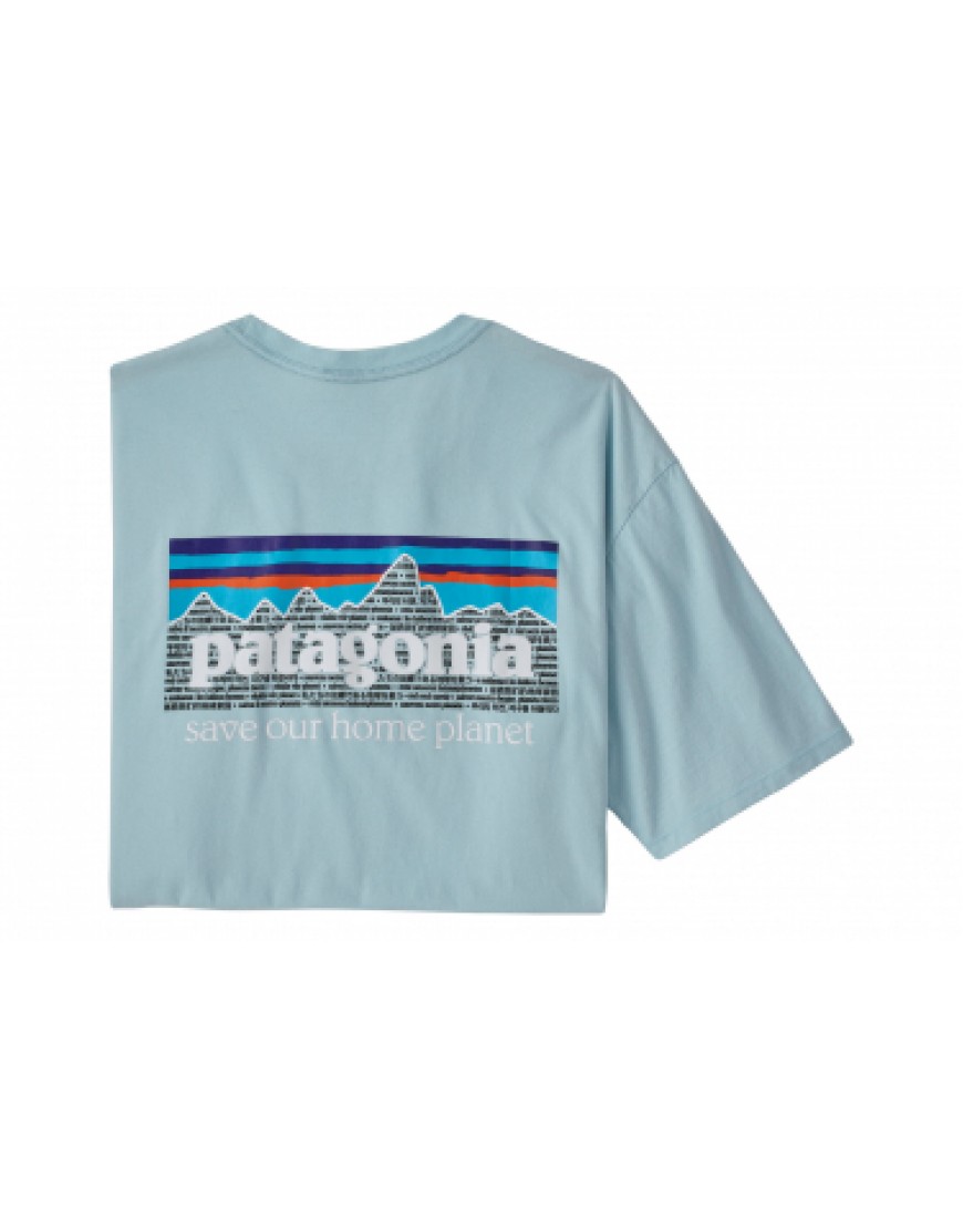 Vêtements Haut Randonnée Running  T-Shirt Patagonia P-6 Mission Organic Bleu Homme XP76062