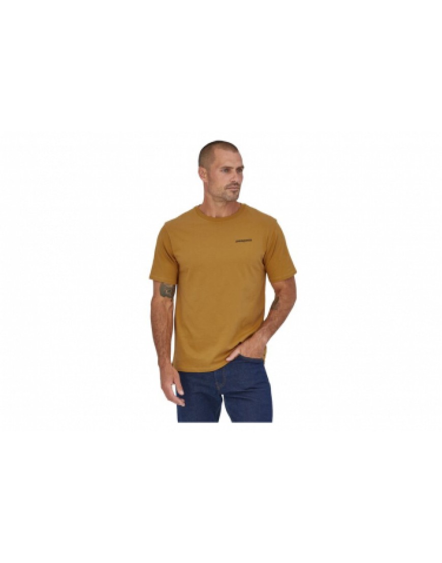 Vêtements Haut Randonnée Running T-Shirt Patagonia P 6 Mission Organic Brun Homme PN16652