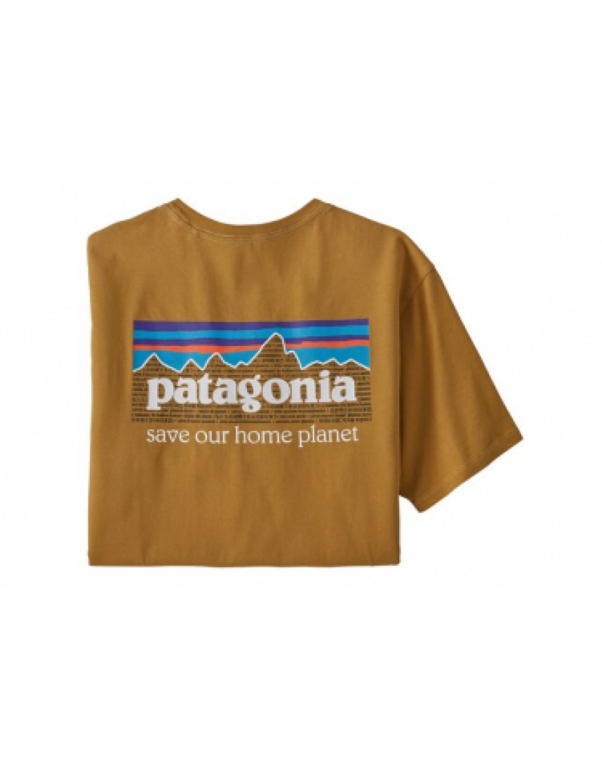 Vêtements Haut Randonnée Running  T-Shirt Patagonia P 6 Mission Organic Brun Homme PN16652