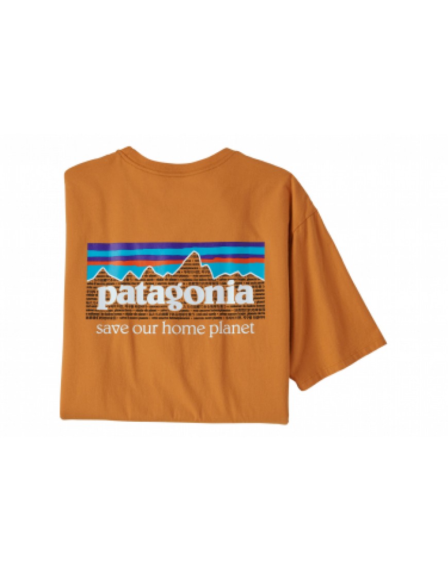 Vêtements Haut Randonnée Running  T-Shirt Patagonia P-6 Mission Organic T-Shirt Orange Homme YR35597