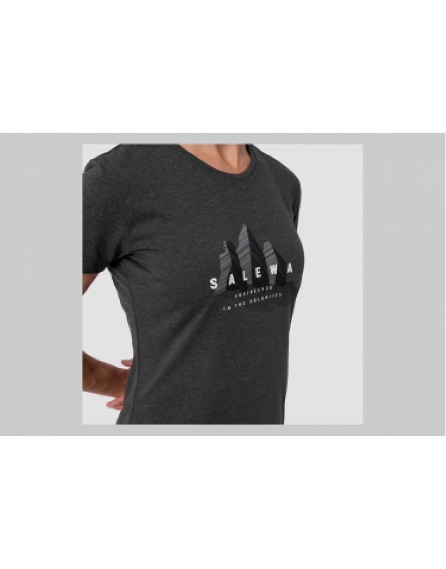 Vêtements Haut Randonnée Running T-Shirt Salewa Lines Graphic Dry Gris Onyx Femme ML17097