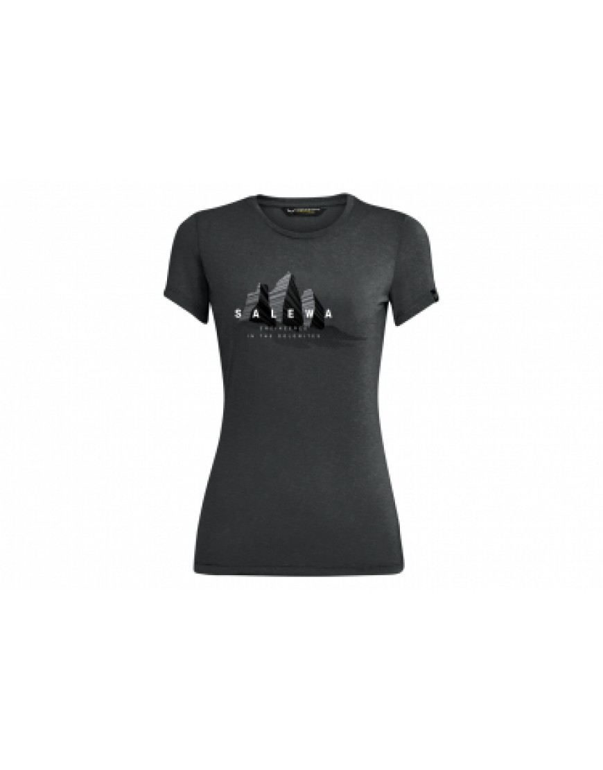 Vêtements Haut Randonnée Running  T-Shirt Salewa Lines Graphic Dry Gris Onyx Femme ML17097