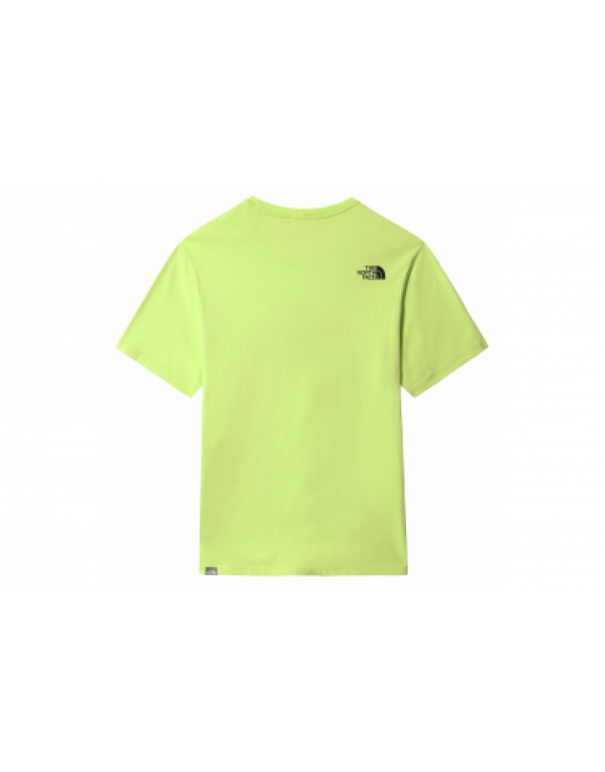 Vêtements Haut Randonnée Running T-Shirt The North Face Easy Tee Vert Homme XK91013