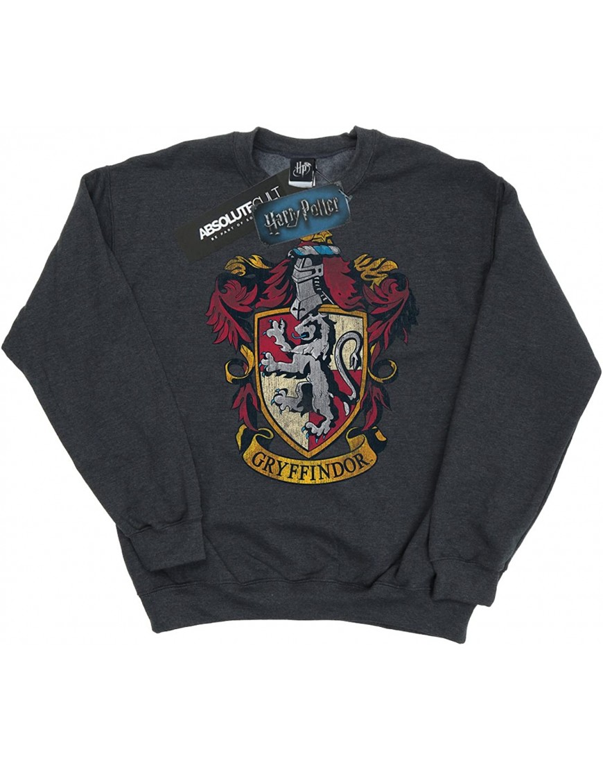 Harry Potter Garçon Gryffindor Distressed Crest Sweat-Shirt B075HDFR4V