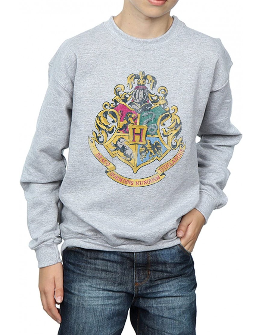 Harry Potter Garçon Hogwarts Distressed Crest Sweat-Shirt B075HCXBBP